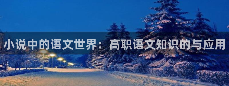 书包网电子书txt网小说网：小说中的语文世界：高职语文知识的与应用